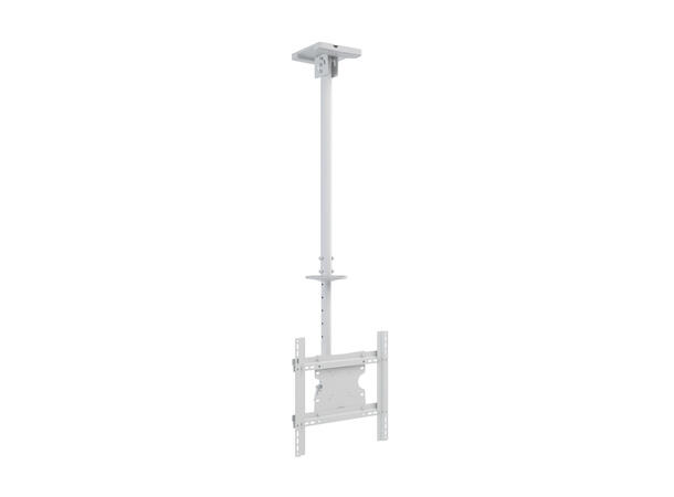 Multibrackets Public Ceilingmount Medium Single White 3000 