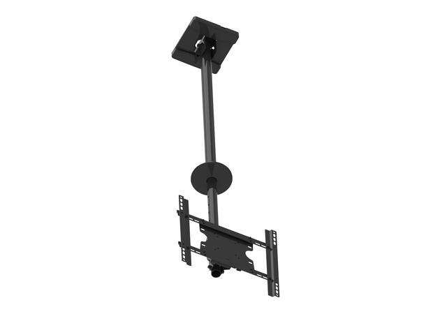 Multibrackets Public Ceilingmount Medium Single 3000 