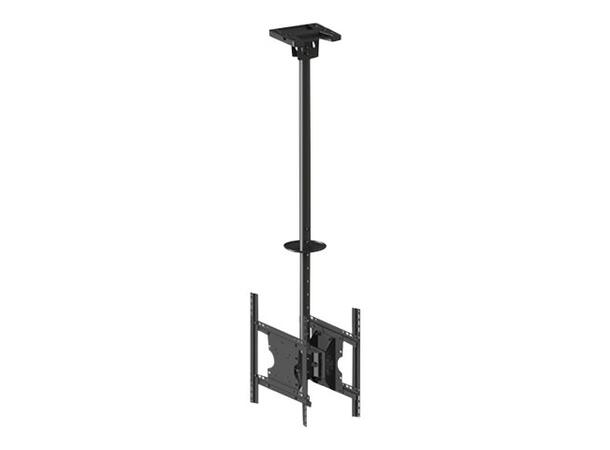 Multibrackets Public Ceilingmount Medium Back to Back Black 3000 