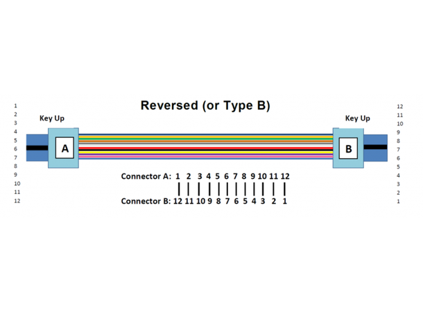 LinkIT MTP/MPO-B OM4 12core Ver. B | Female-Female | LSZH | Aqua 